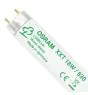 Osram Lumilux XXT T8 18W - 830 Luce Calda | 60cm